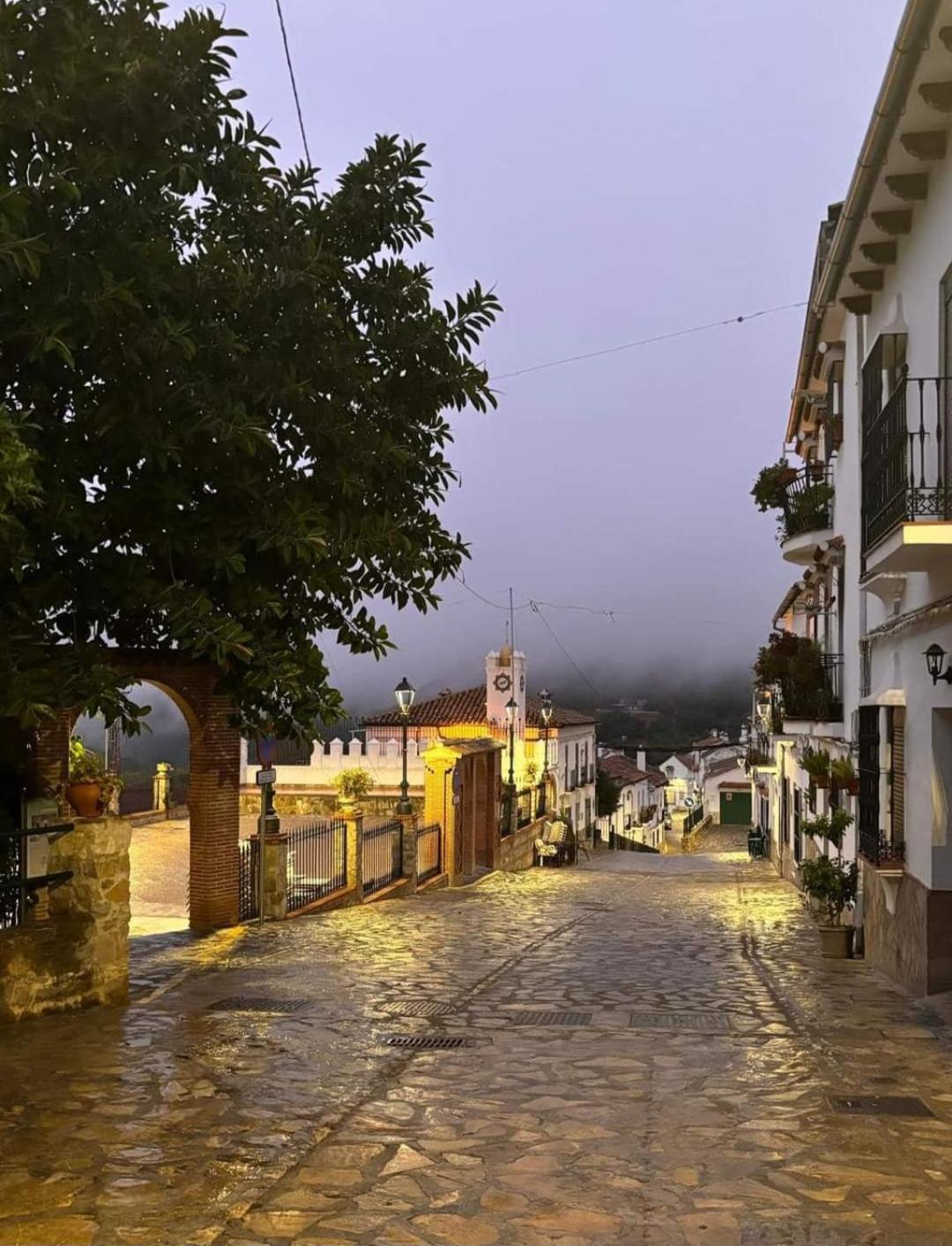 El Pinsapo Daire Benamahoma Dış mekan fotoğraf